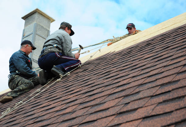 Best Storm Damage Roof Repair  in Gold Beach, OR